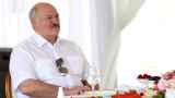 Лукашенко уличили в незаконной покупке участка в Сочи для постройки резиденции