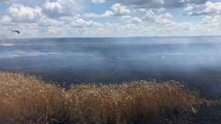 Пожары на пшеничных полях под Харьковом после российского обстрела.
